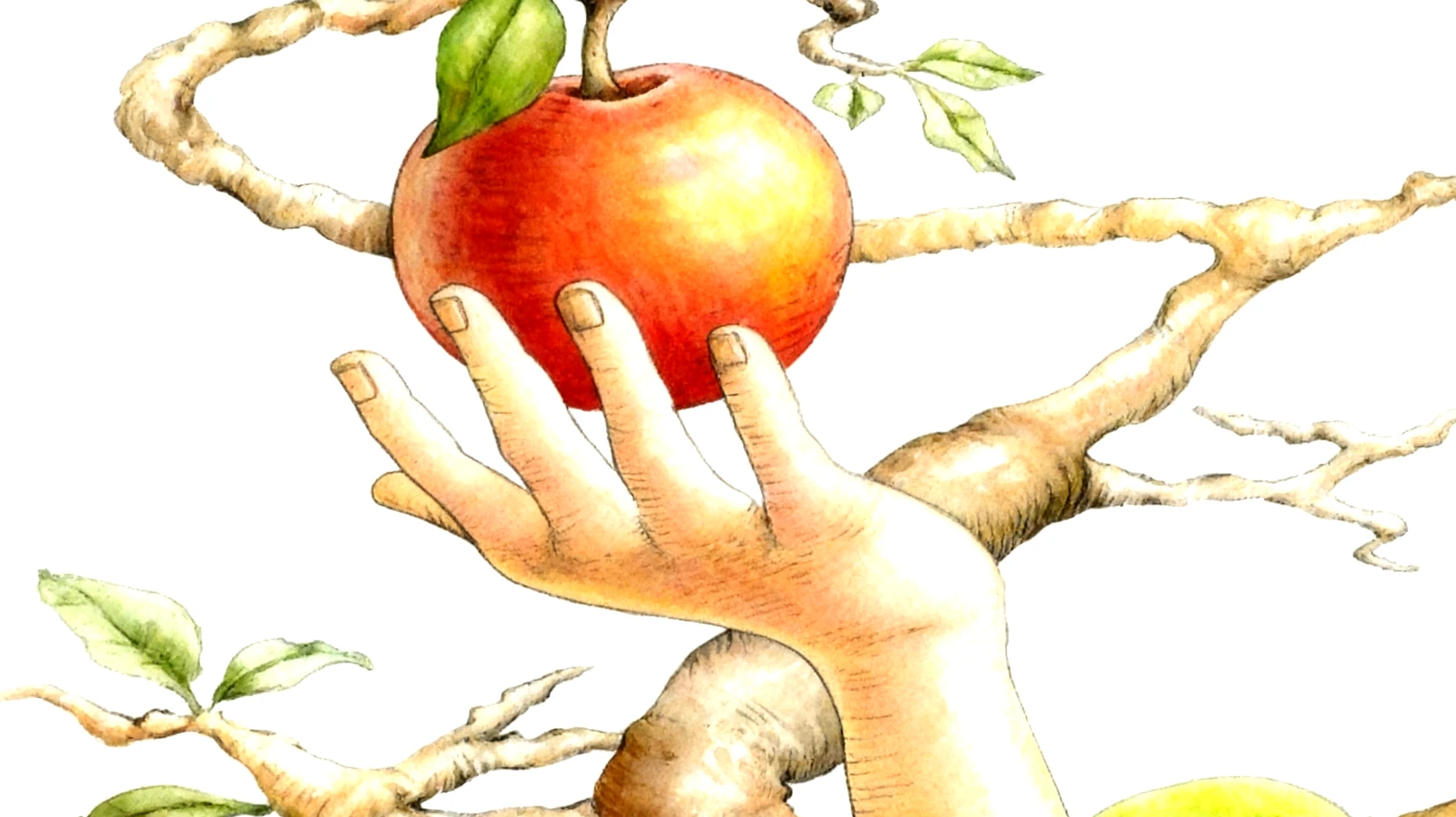 Forbidden Fruit2025-11-24T07:06:48.615Z"